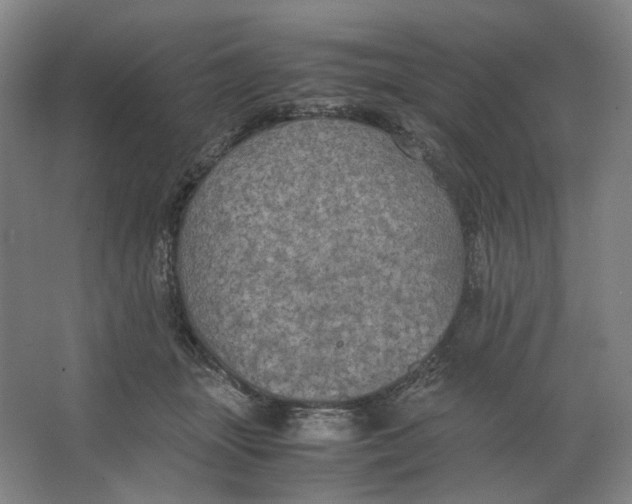 X0000063460463200602101719