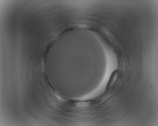 X0000063460465200602101719