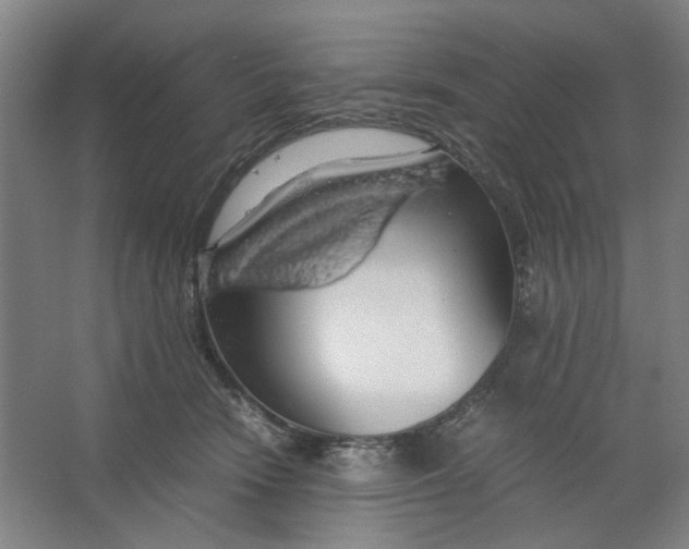 X0000063460466200602101719