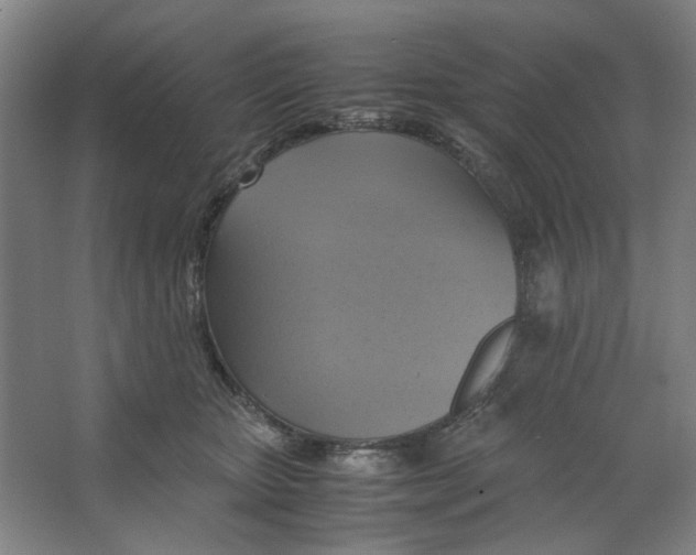 X0000063460467200602101719