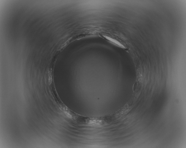X0000063460471200602101719