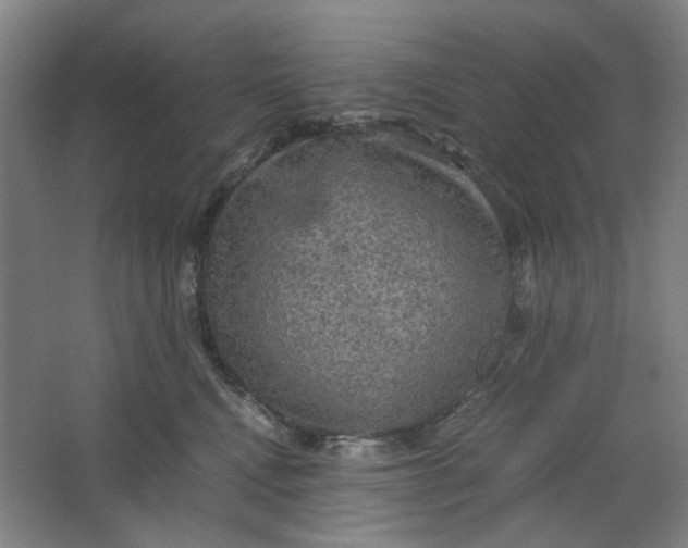 X0000063460472200602101719