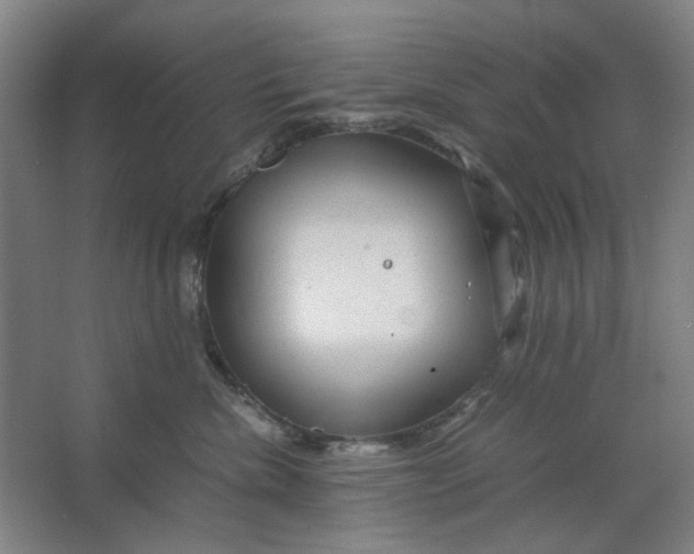 X0000063460476200602101719