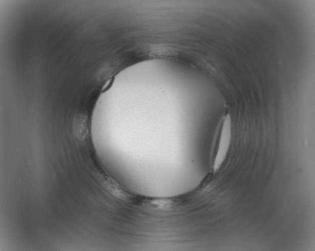 X0000063460478200602101719