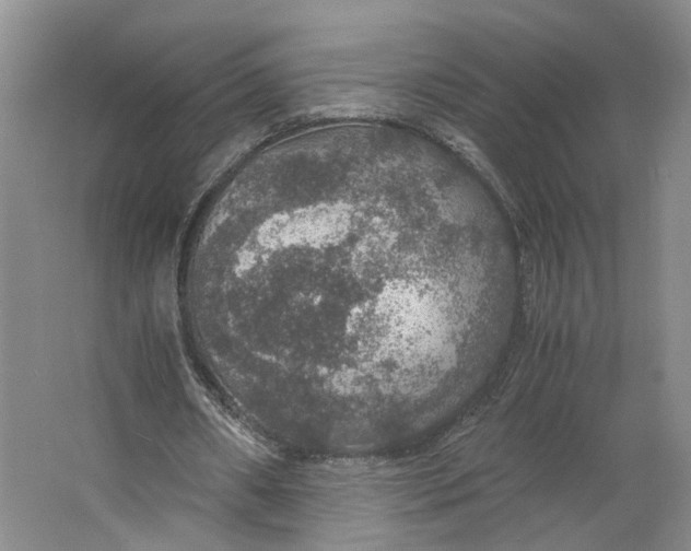X0000063460482200602101718