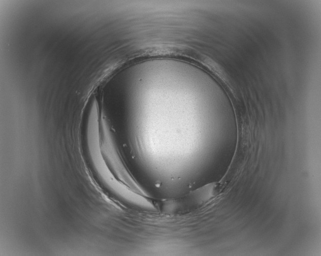 X0000063460485200602101718