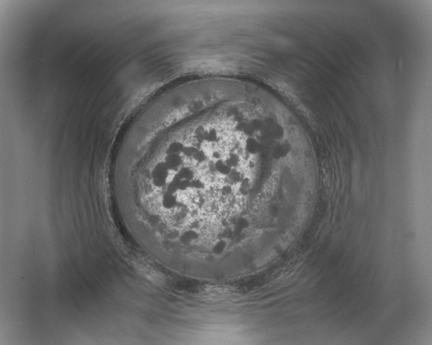 X0000063460487200602101718