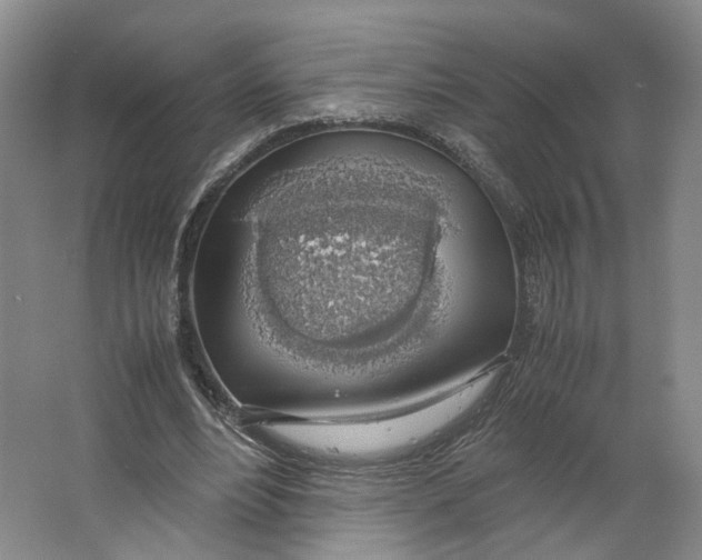 X0000063460488200602101718