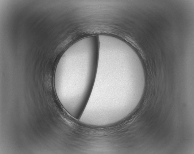 X0000063460489200602101718