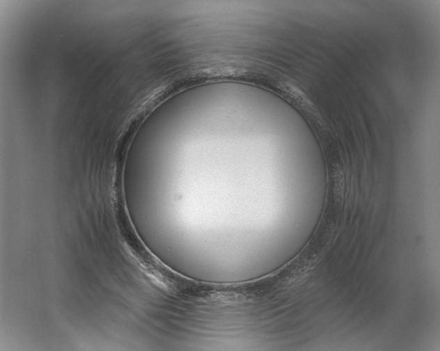 X0000063460490200602101718