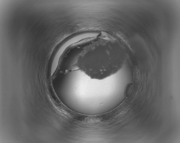 X0000063460491200602101718