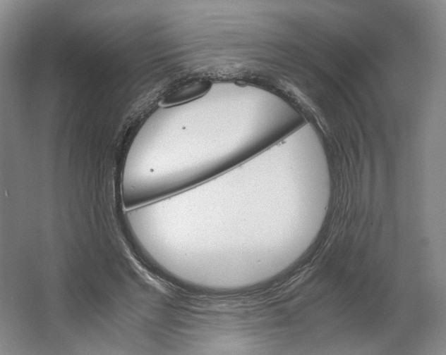 X0000063460493200602101718