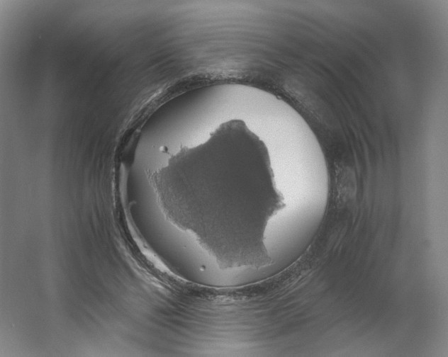 X0000063460494200602101718