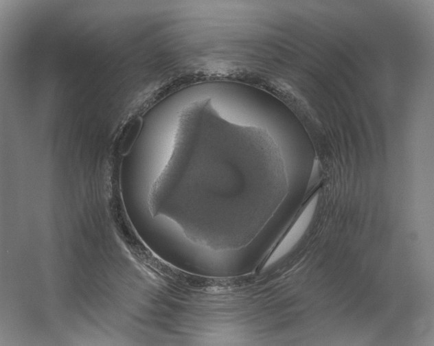 X0000063460496200602101718