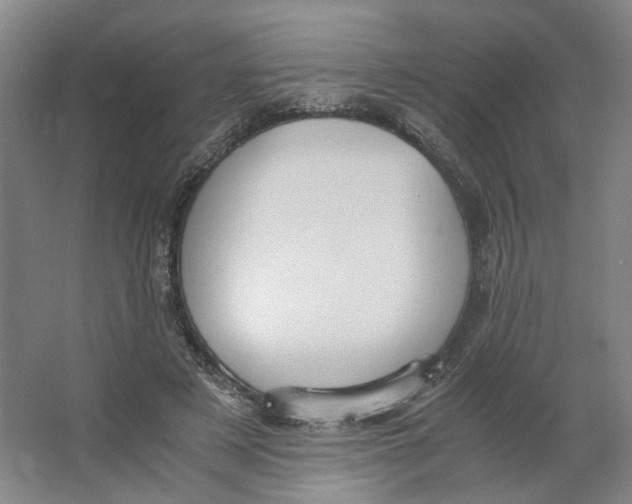 X0000063460497200602101718