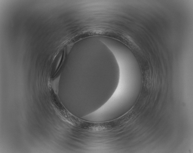 X0000063460500200602101718