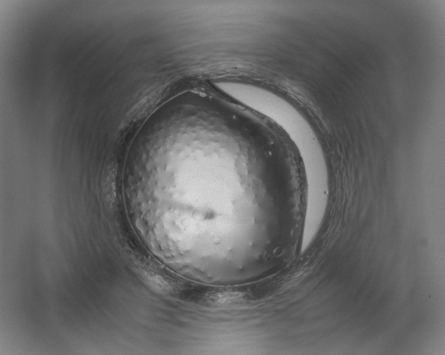 X0000063460501200602101718