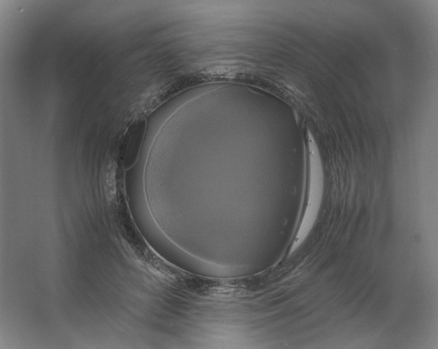X0000063460504200602101718