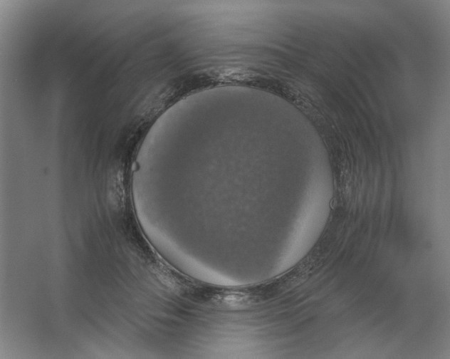 X0000063460506200602101718