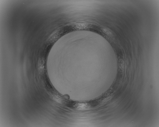 X0000063460507200602101718