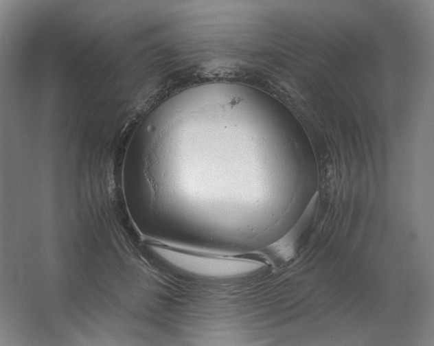 X0000063460508200602101718