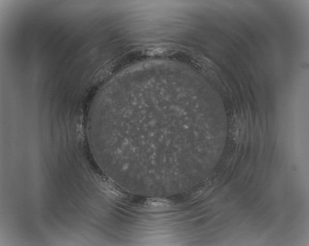 X0000063460510200602101718