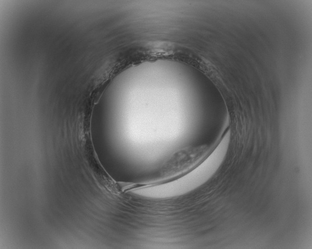 X0000063460512200602101718