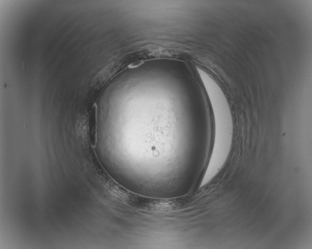 X0000063460513200602101718