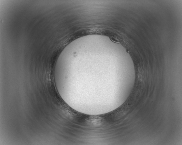 X0000063460514200602101718