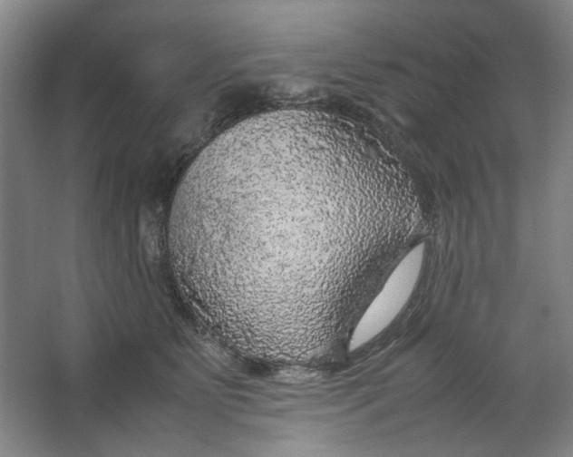 X0000063460515200602101718