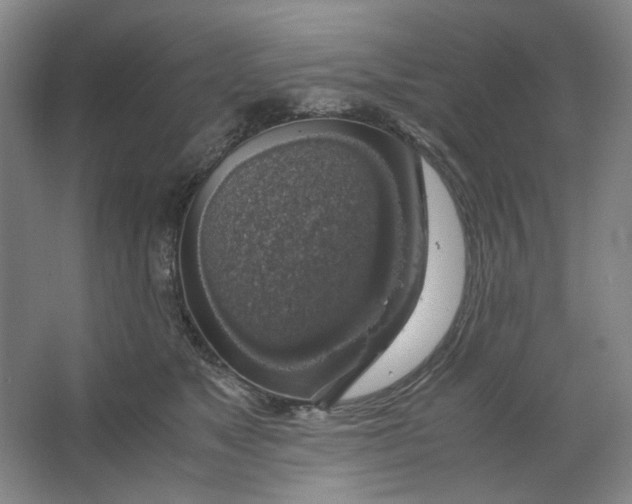 X0000063460517200602101718
