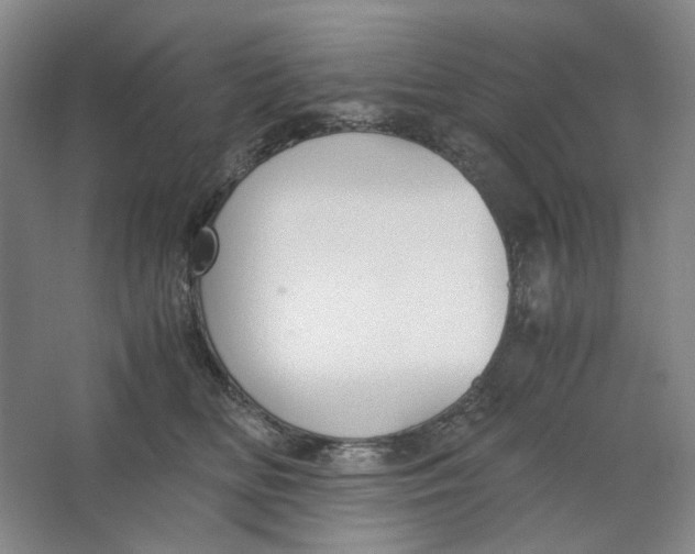 X0000063460518200602101718