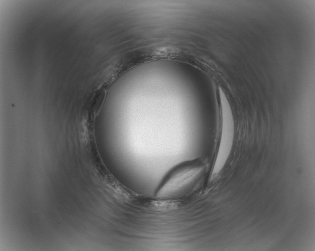 X0000063460520200602101718