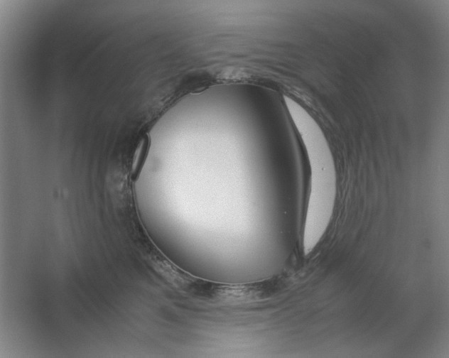 X0000063460521200602101718