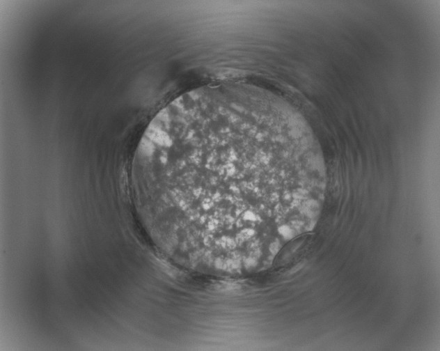X0000063460523200602101718