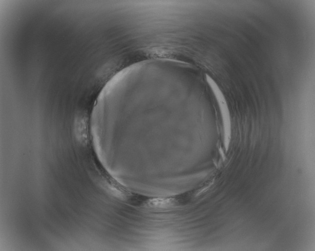 X0000063460526200602101718
