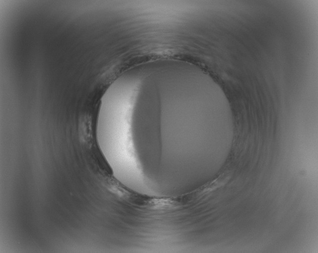 X0000063460528200602101717