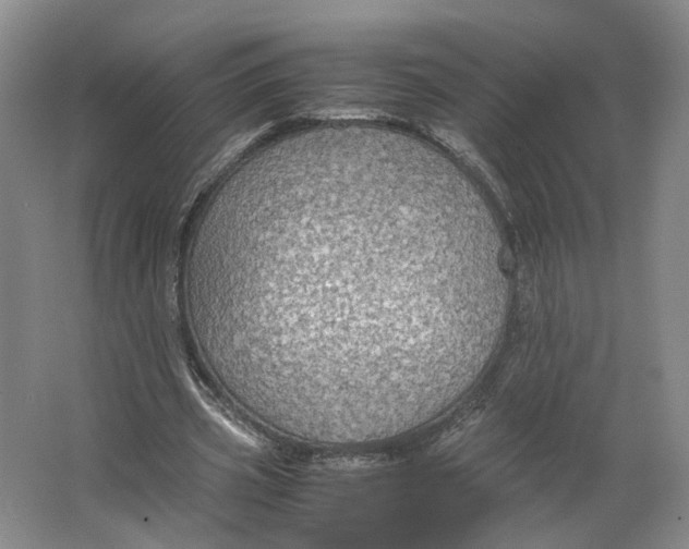 X0000063460533200602101717