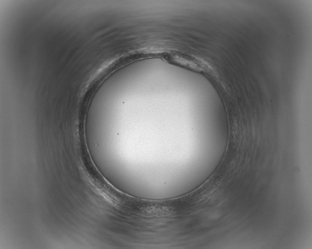 X0000063460535200602101717