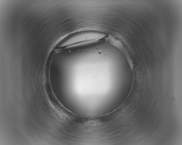 X0000063460536200602101717