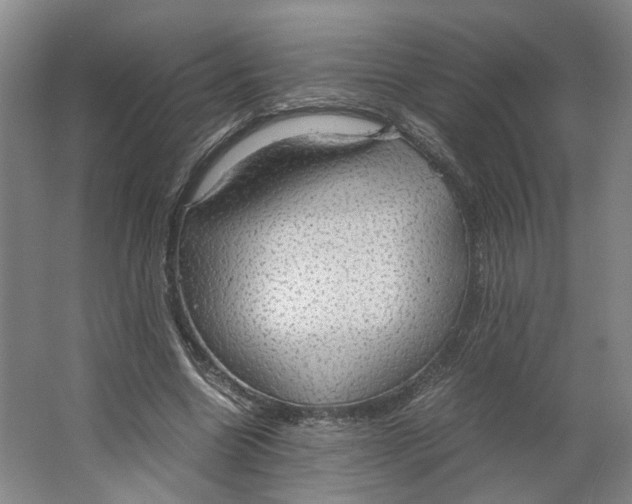 X0000063460538200602101717