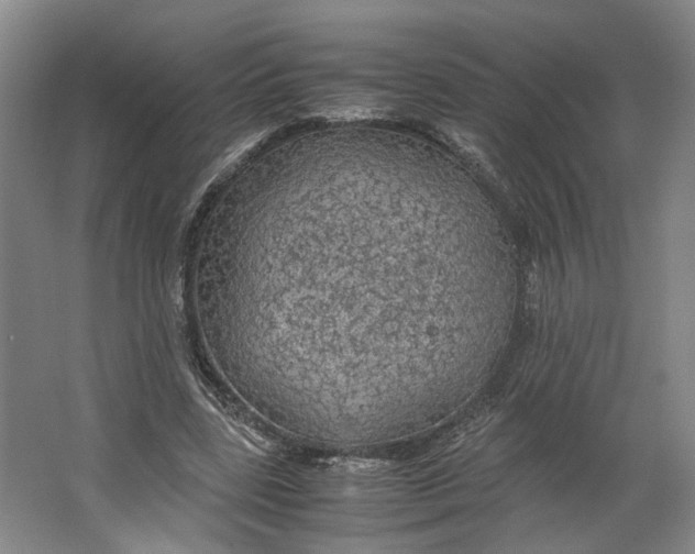 X0000063460539200602101717