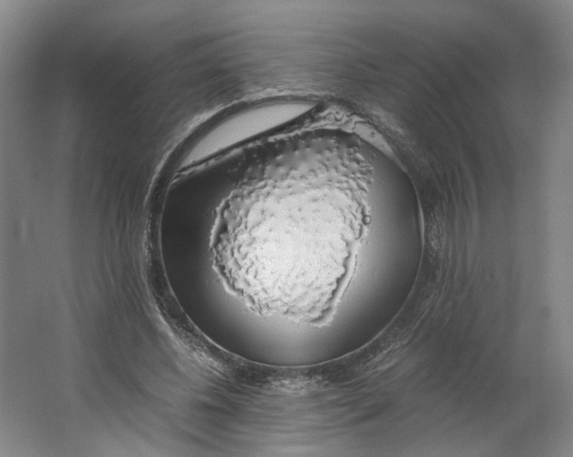 X0000063460540200602101717