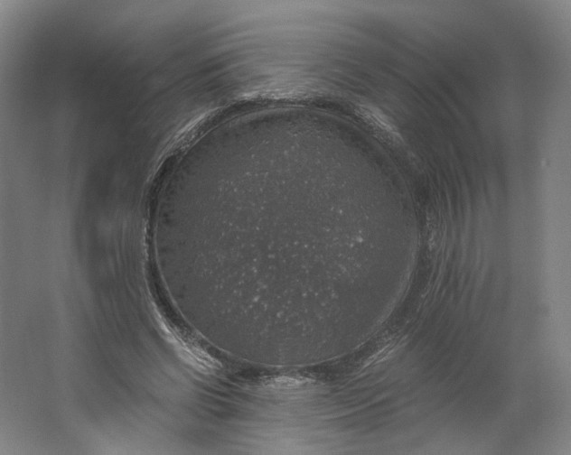 X0000063460542200602101717