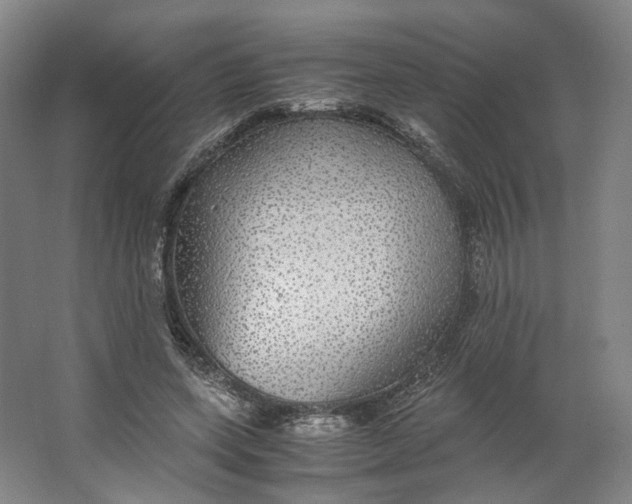X0000063460543200602101717