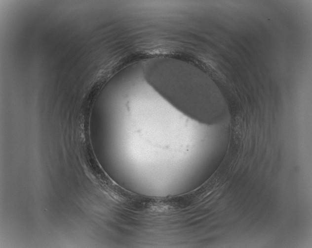 X0000063460547200602101717