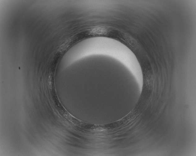 X0000063460551200602101717