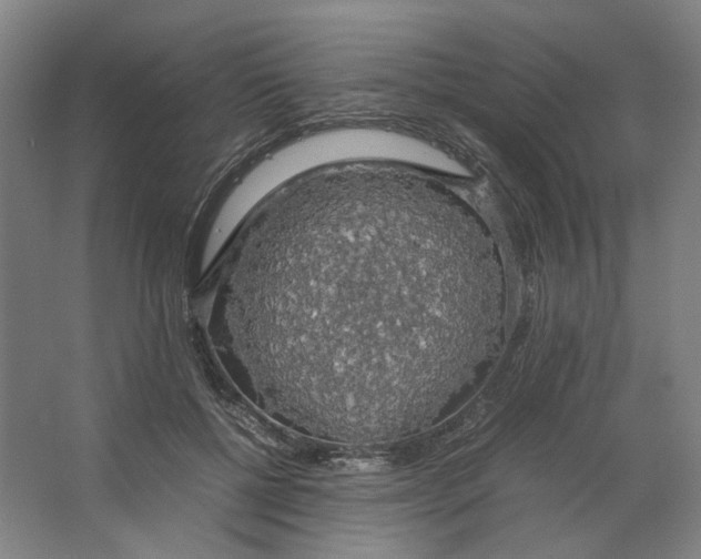 X0000063460552200602101717
