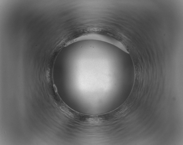 X0000063460556200602101717