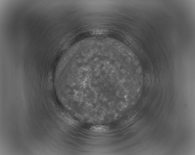 X0000063460557200602101717